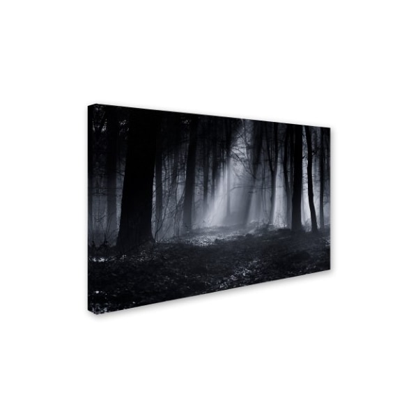 Julien Oncete 'Capela Forest' Canvas Art,22x32